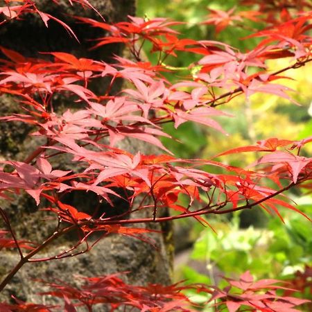 Usuki Yunosato Hotel Saiki Buitenkant foto